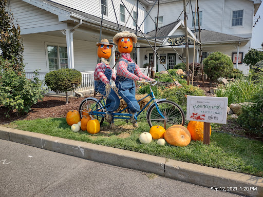 Furniture Store «Shipshewana Furniture Co.», reviews and photos, 130 E Middlebury St, Shipshewana, IN 46565, USA