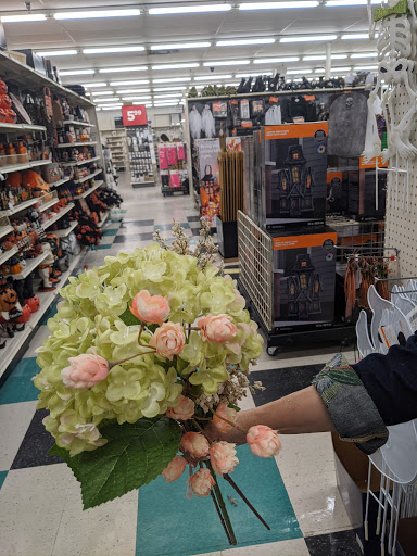 Craft Store «Michaels», reviews and photos, 861 Williston Rd Ste 1, South Burlington, VT 05403, USA