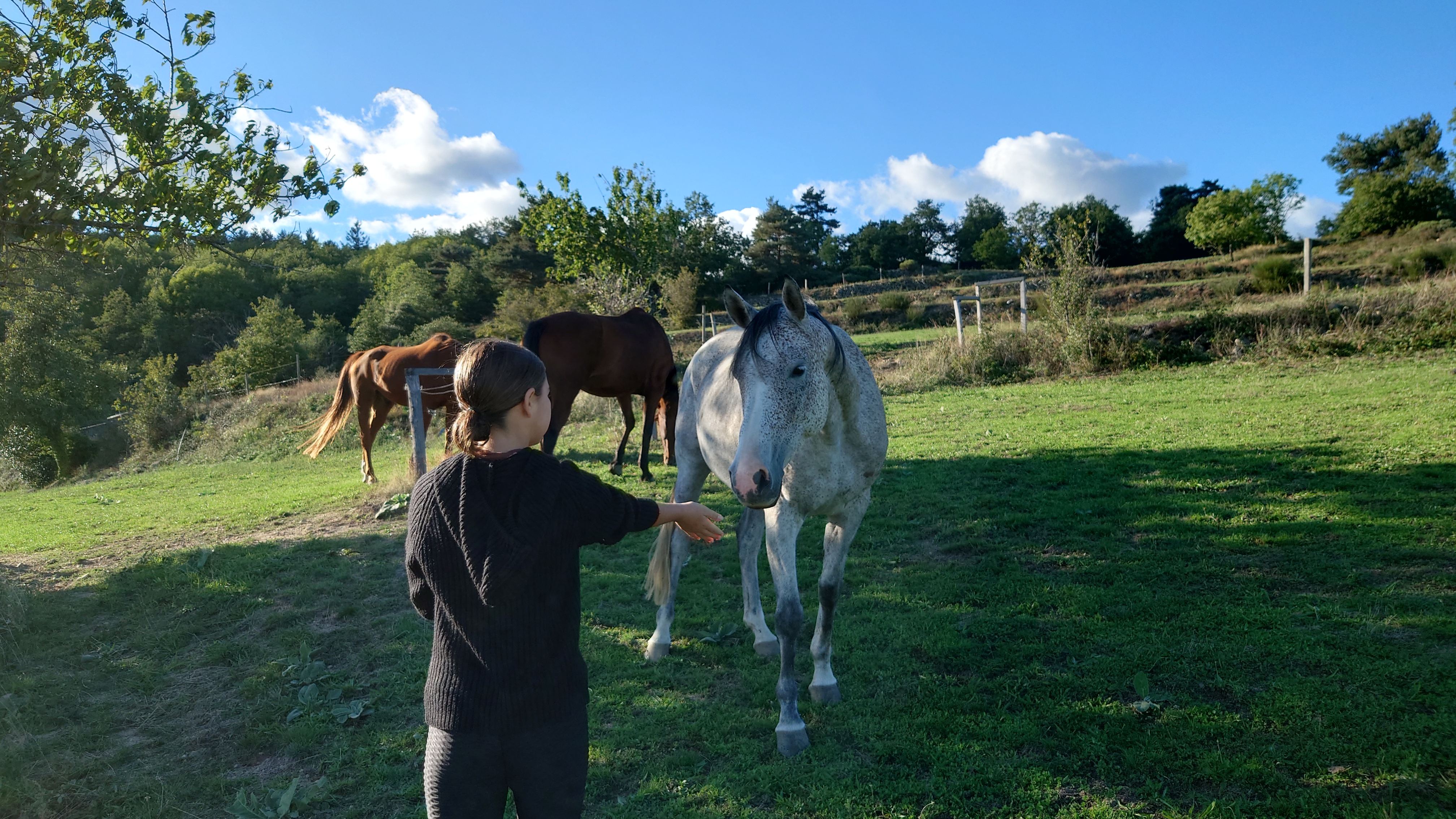 Photo n° 5 de l'avis de guillaume.o fait le 18/09/2022 à 18:35
