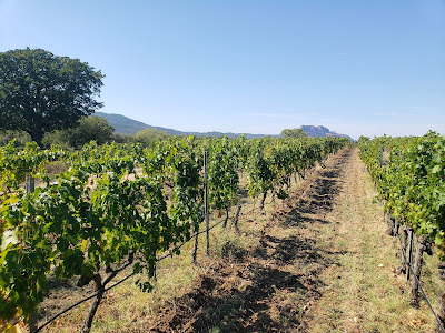 Le Domaine Le Bercail à Puget-sur-Argens