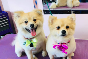 Dollybags Dog Grooming Studio