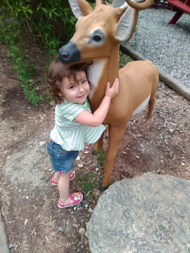 Tourist Attraction «Mystery Hill», reviews and photos, 129 Mystery Hill Ln, Blowing Rock, NC 28605, USA