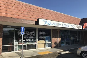 The Aquarium Connection image