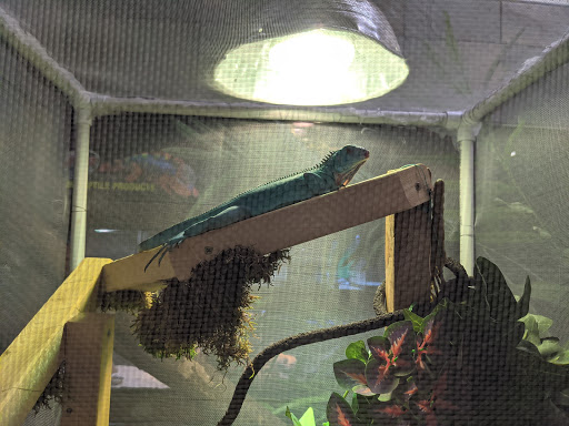 Pet Store «A to Z Pets», reviews and photos, 16010 SE Division St, Portland, OR 97236, USA