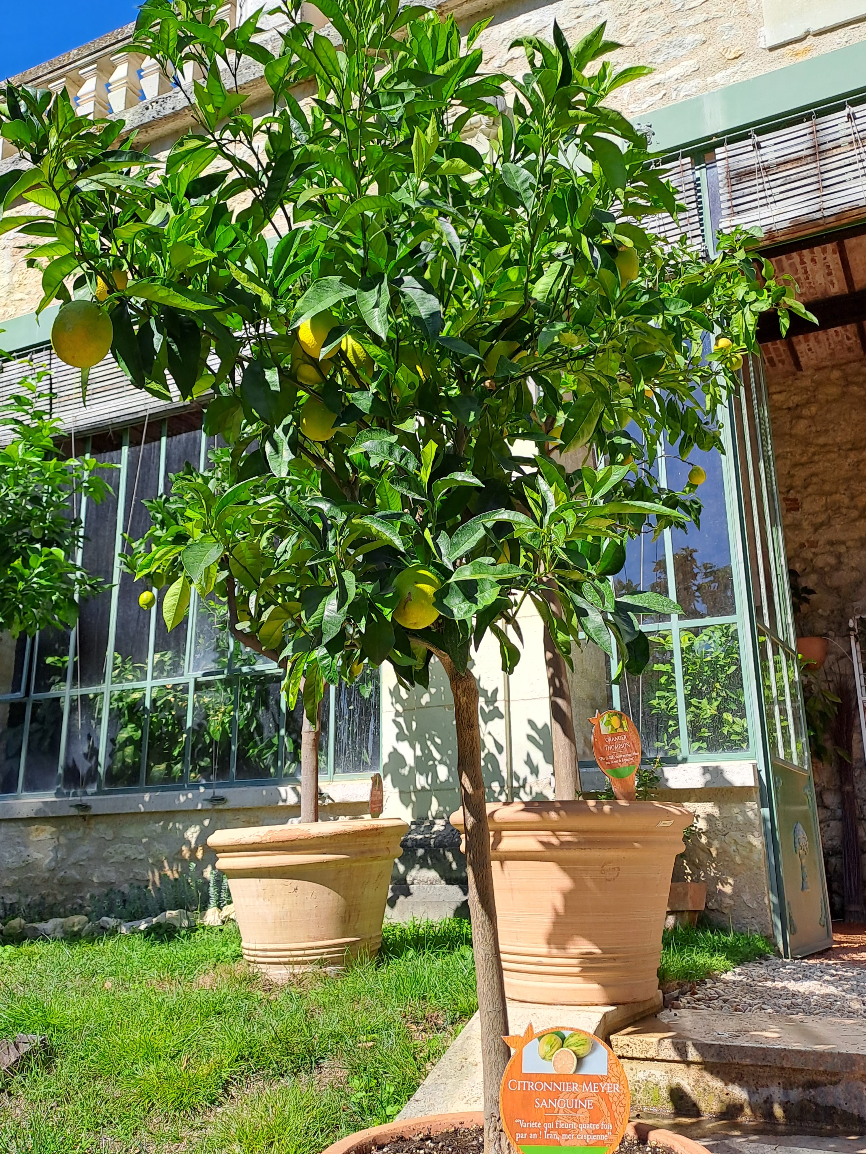 Photo n° 4 de l'avis de Catherine.i fait le 16/08/2020 à 15:50
