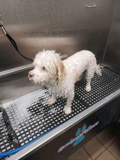 Pet Supply Store «Pet Supplies Plus», reviews and photos, 1137 Annapolis Rd, Odenton, MD 21113, USA