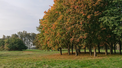 Golfbanebyggare