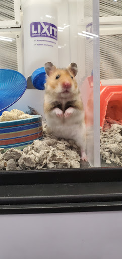 Pet Supply Store «Petco Animal Supplies», reviews and photos, 1500 N Town E Blvd, Mesquite, TX 75150, USA