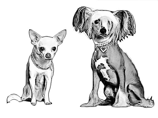 Movie Theater «Park Plaza Cinema», reviews and photos, 33 Office Park Rd #201, Hilton Head Island, SC 29928, USA