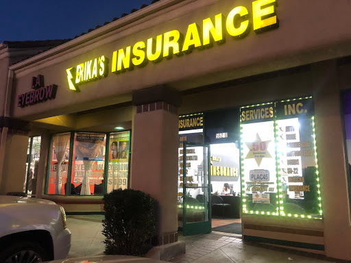 Erika's Insurance
