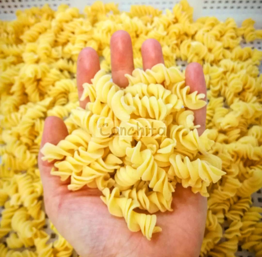 Conchita pasta fresca