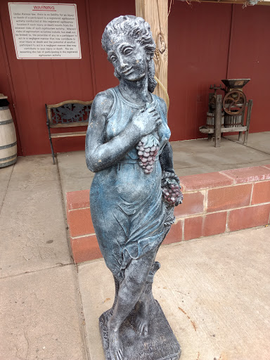 Winery «Wyldewood Cellars Winery», reviews and photos, 951 East 119th St S, Peck, KS 67120, USA