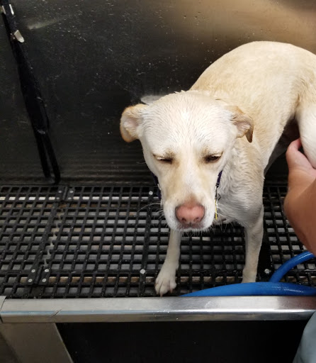 Pet Supply Store «Pet Supplies Plus», reviews and photos, 400 Lowell Ave Suite 14, Haverhill, MA 01832, USA