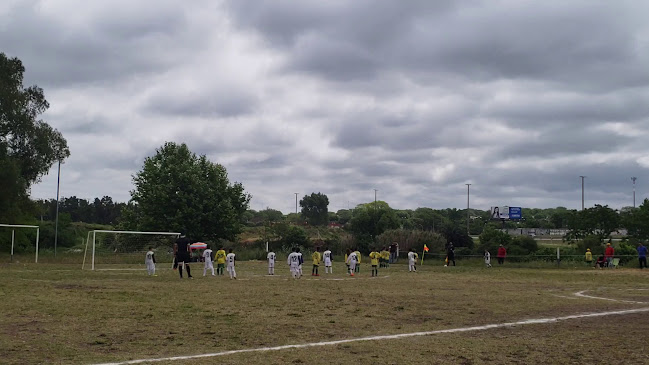 Parque Ancap (C. A. Fenix, AUFI) - Campo de fútbol