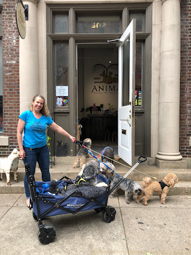 Pet Supply Store «BONeJOUR Pet Supply and Dog Wash», reviews and photos, 53 N 3rd St, Philadelphia, PA 19106, USA