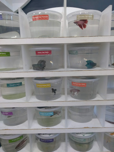 Pet Supply Store «Petco Animal Supplies», reviews and photos, 520 Woodside Rd, Redwood City, CA 94061, USA