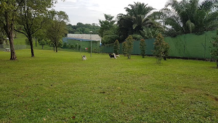 Sembawang Dog Run