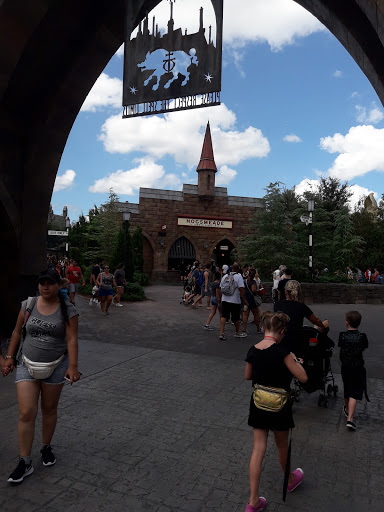 Roller Coaster «Dragon Challenge», reviews and photos, 6000 Universal Blvd, Orlando, FL 32819, USA