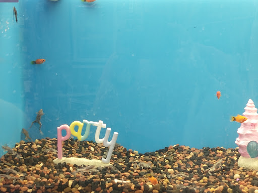 Pet Supply Store «PetSmart», reviews and photos, 36395 Euclid Ave, Willoughby, OH 44094, USA