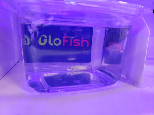 Pet Supply Store «Petco Animal Supplies», reviews and photos, 1415 E Warner Rd, Gilbert, AZ 85296, USA