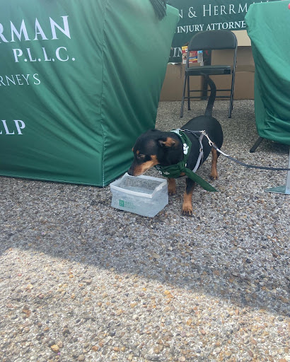 Personal Injury Attorney «Herrman & Herrman, P.L.L.C.», reviews and photos