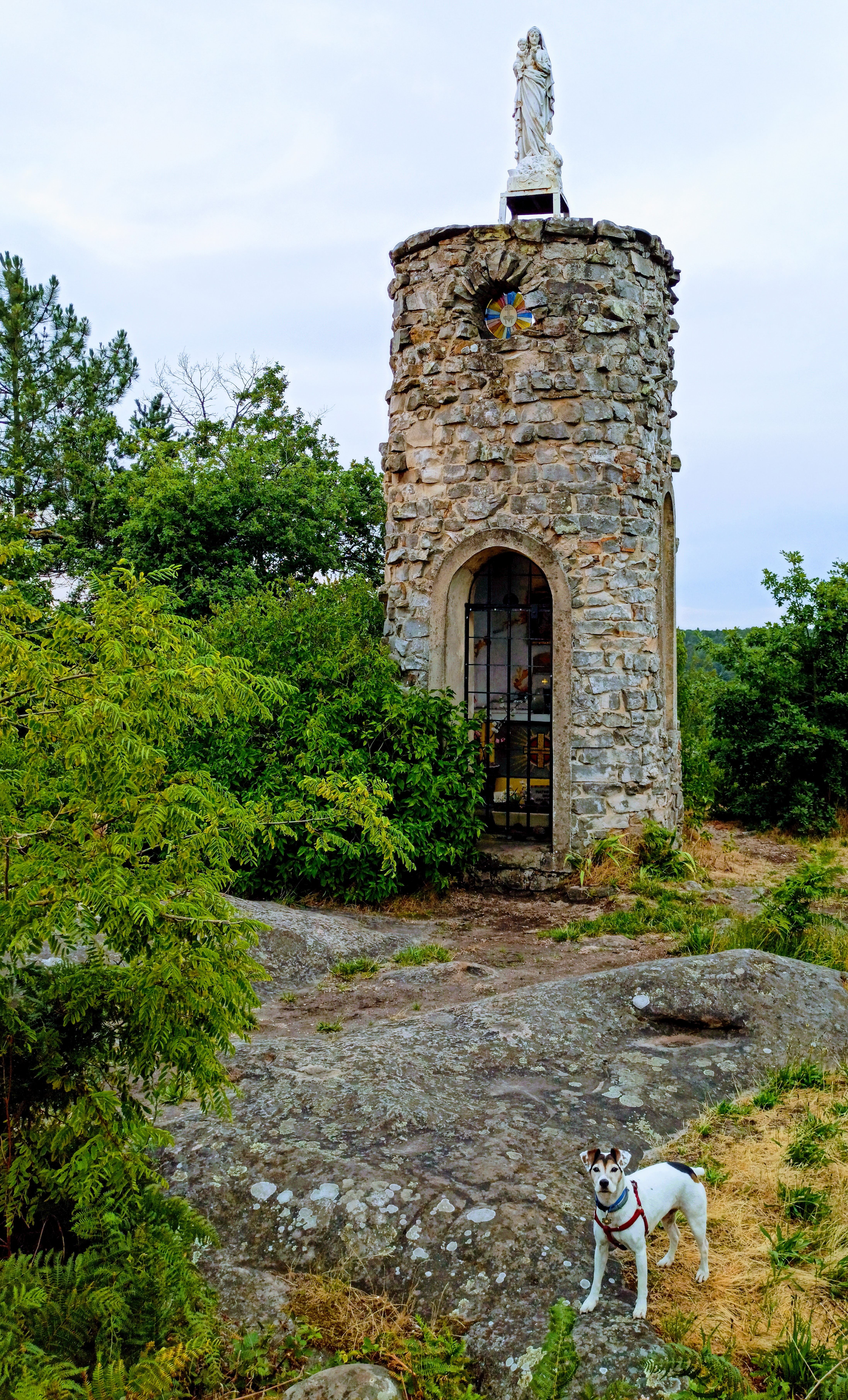 Photo n° 2 de l'avis de Pierre.l fait le 20/07/2018 à 09:34