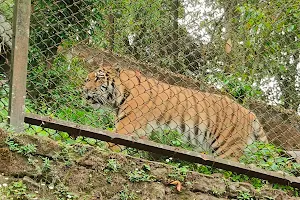 Darjeeling Zoo image