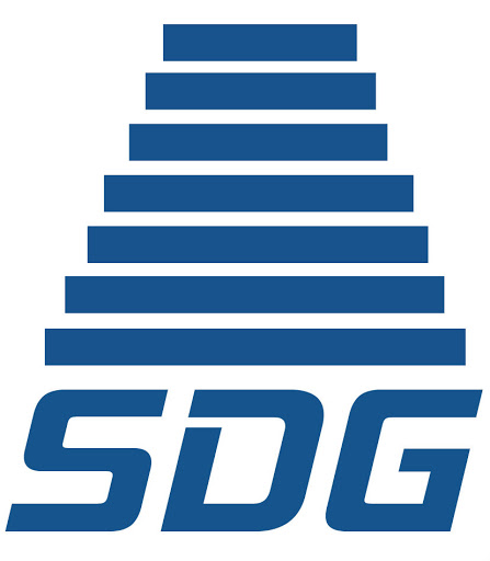 SDG, Chartered Professional Accountant