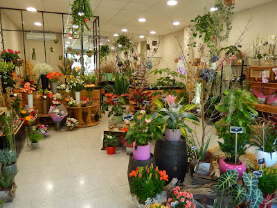 Au Milieu des Fleurs à Roquevaire