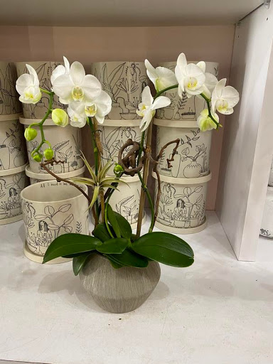Orchid Republic Floral Boutique image