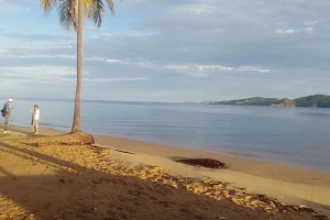 Playa Cochaima image