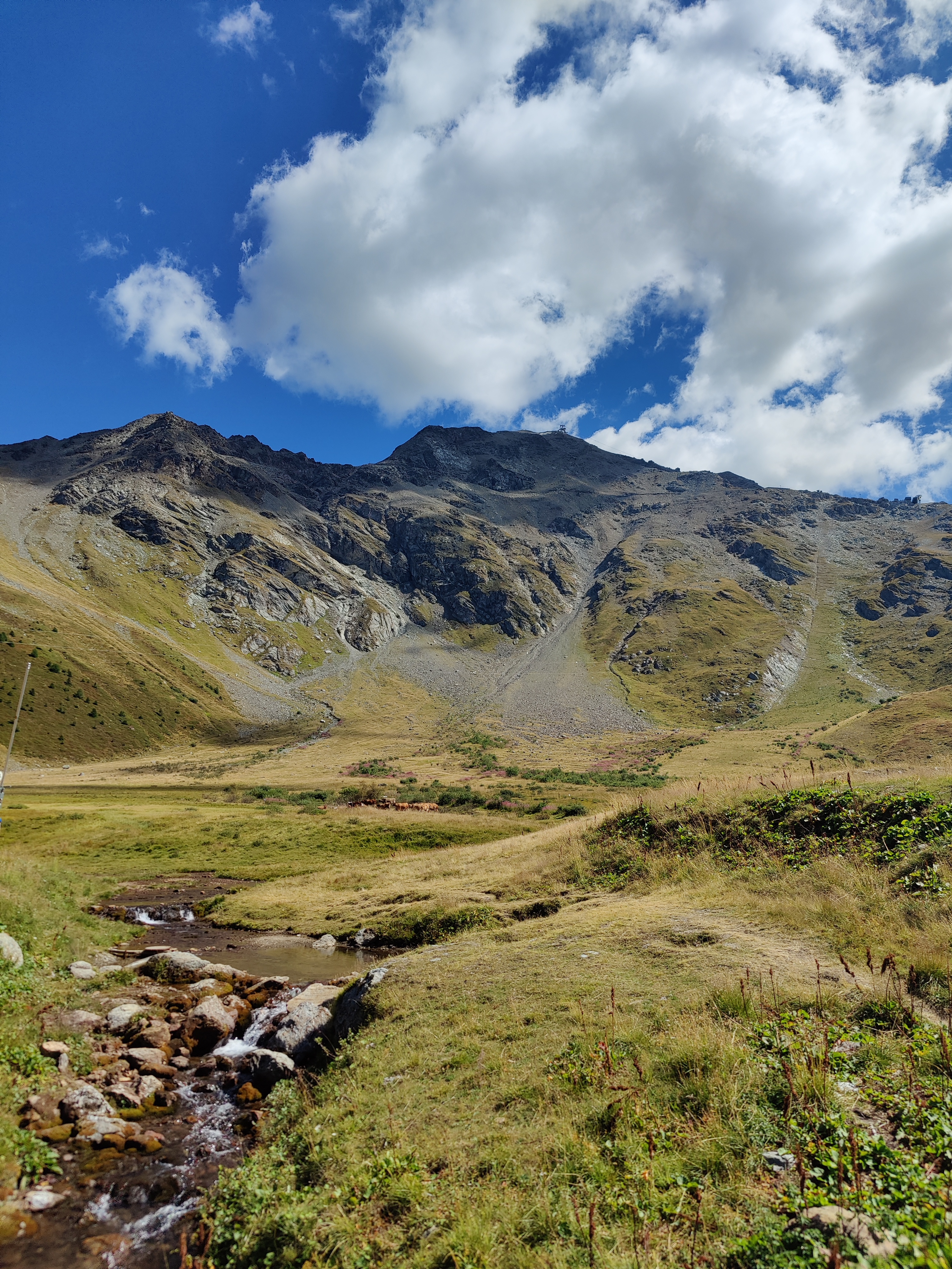 Photo n° 8 de l'avis de Sébastien.e fait le 21/08/2022 à 17:08