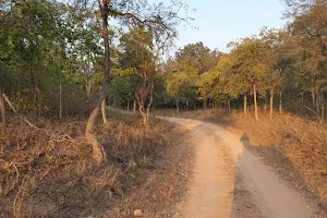 Panna Tiger Reserve image