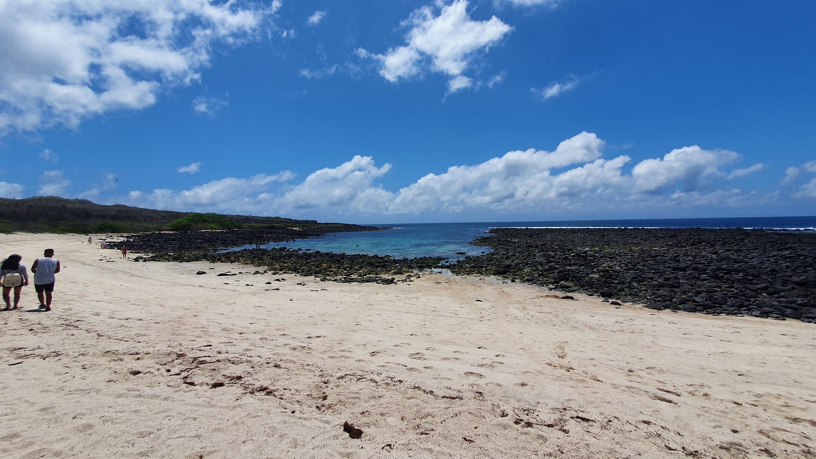 Playa Loberia的照片 位于自然区域
