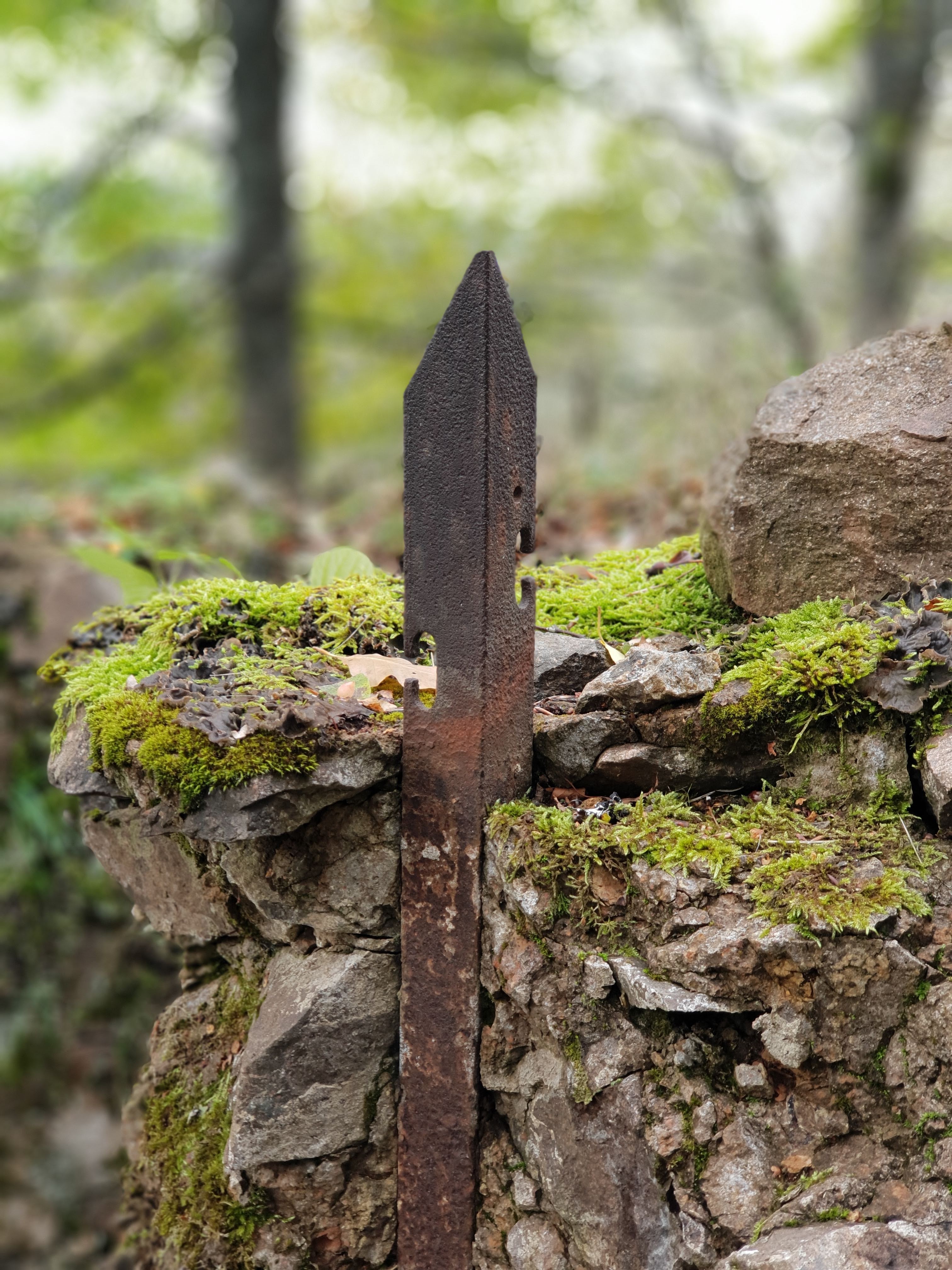 Photo n° 13 de l'avis de sandra.w fait le 26/10/2020 à 15:14