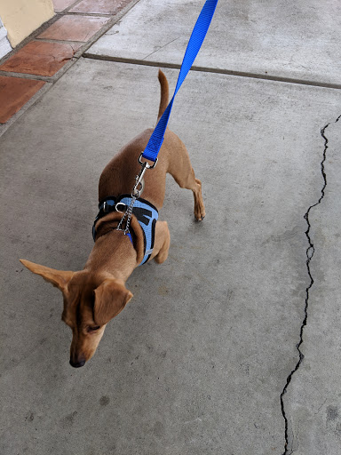 Pet Supply Store «Petco Animal Supplies», reviews and photos, 24413 Crenshaw Blvd #8, Torrance, CA 90505, USA