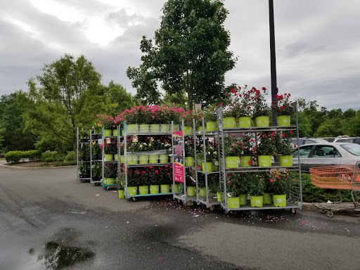 Home Improvement Store «The Home Depot», reviews and photos, 244 US-202, Flemington, NJ 08822, USA