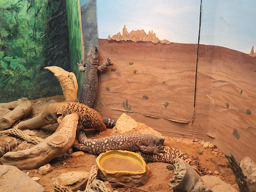 Zoo «Central Florida Zoo & Botanical Gardens», reviews and photos, 3755 NW Hwy 17-92, Sanford, FL 32771, USA