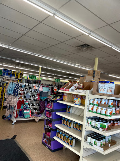 Dollar Store «Dollar Tree», reviews and photos, 1001 W County Line Rd, Hatboro, PA 19040, USA