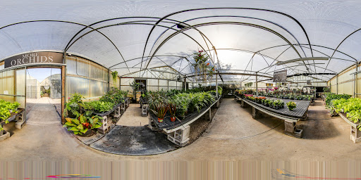 Florist «Dr Delphinium Flower & Orchid House», reviews and photos, 513 W Campbell Rd, Richardson, TX 75080, USA