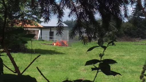 Golf Course «Blue Boy West Golf Course», reviews and photos, 27927 Florence Acres Rd, Monroe, WA 98272, USA