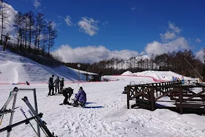Karuizawa Snow Park image