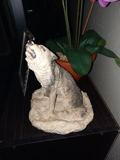 Thrift Store «Slightly Used Resale Shop», reviews and photos, 6645 Baker Blvd, Richland Hills, TX 76118, USA