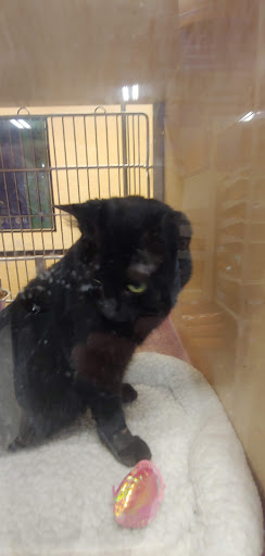 Pet Supply Store «PetSmart», reviews and photos, 2028 Miamisburg Centerville Rd, Dayton, OH 45459, USA