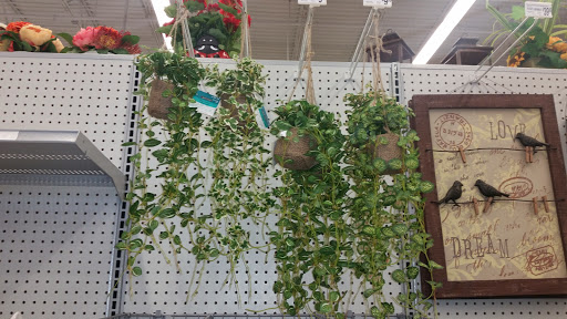 Craft Store «Michaels», reviews and photos, 10075 Crossing Way #620, Denham Springs, LA 70726, USA