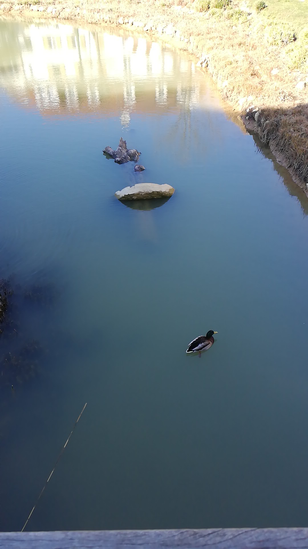 Photo n° 1 de l'avis de IRALI.R fait le 24/02/2019 à 10:39