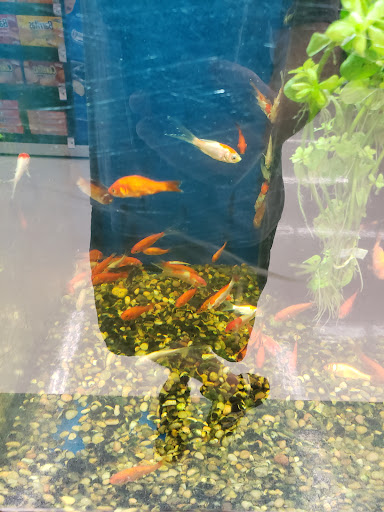 Grocery Store «Meijer», reviews and photos, 40445 S Groesbeck Hwy, Charter Twp of Clinton, MI 48036, USA