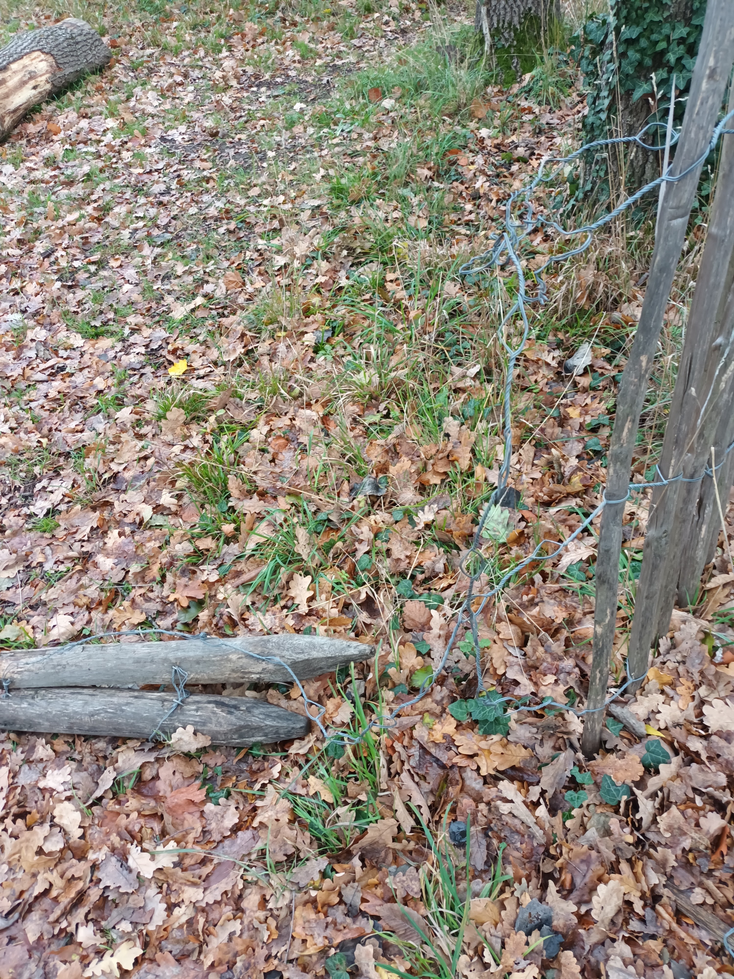 Photo n° 3 de l'avis de Irène.E fait le 11/11/2022 à 17:01