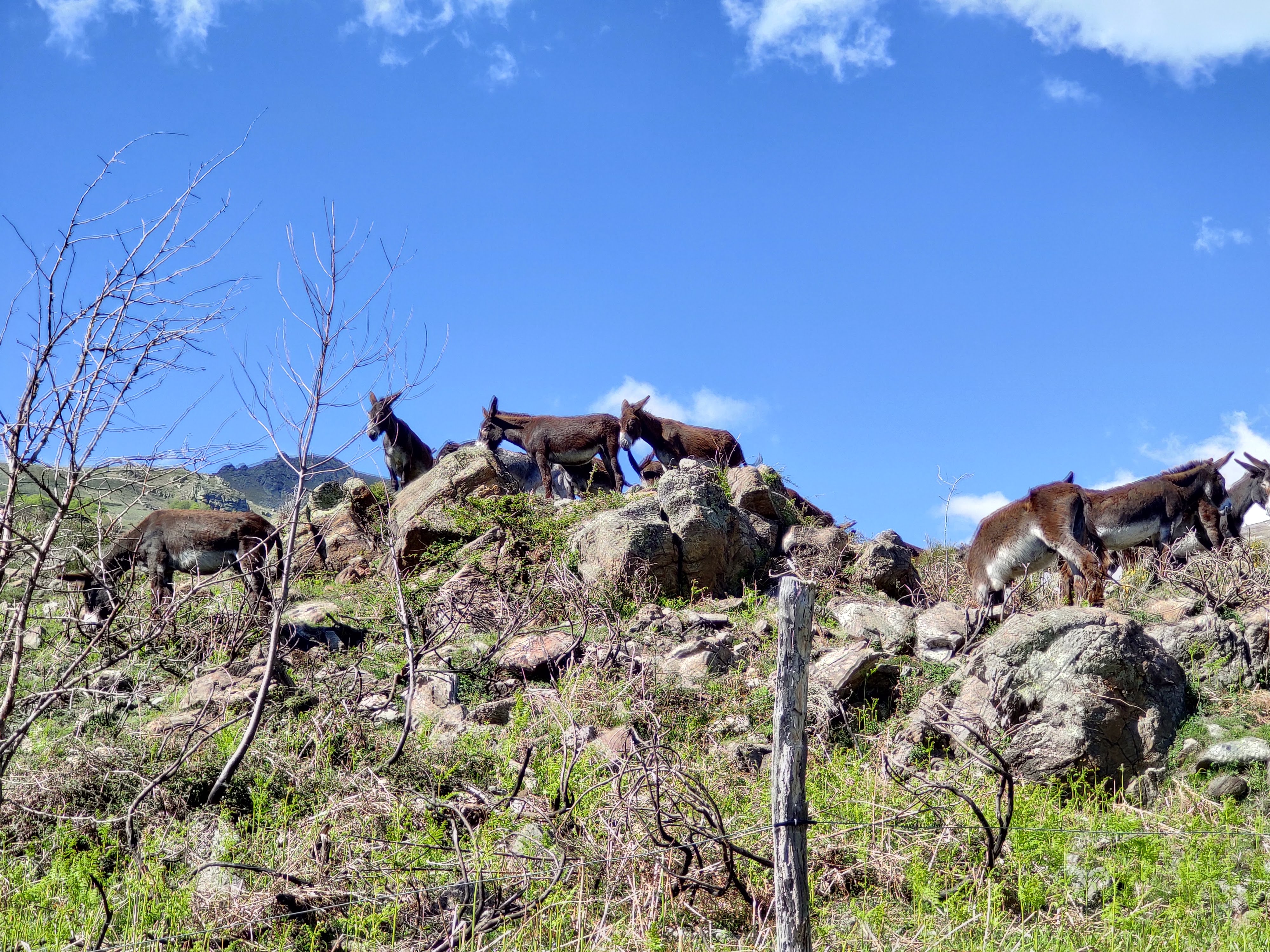 Photo n° 11 de l'avis de Florian.o fait le 04/06/2019 à 10:25