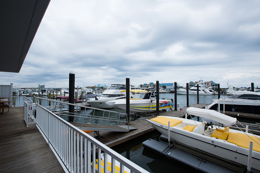 Mortgage Lender «Alpha Mortgage Corporation», reviews and photos